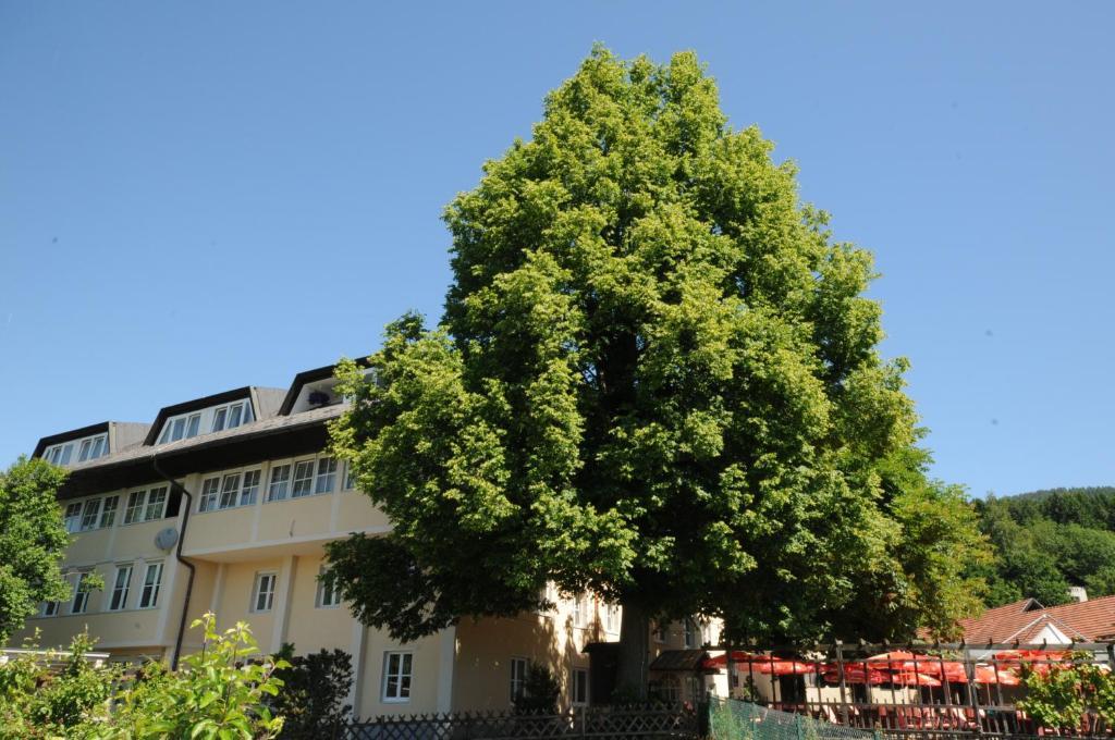 Gasthof Bacher Hotel Villach Exterior photo